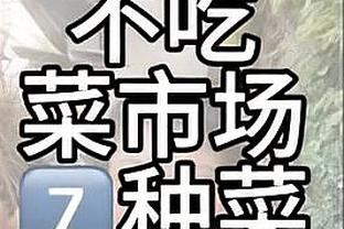 BBR夺冠概率：凯尔特人高达91.3% 独行侠仅8.7%